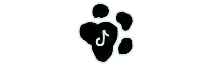 Tiktok Tiktok