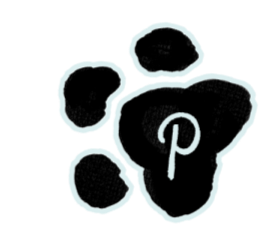 Pinterest Pinterest